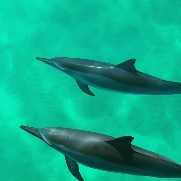 Meet your Posher, Carly - Picture 9 of 15